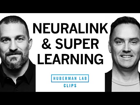 Dr. Matt MacDougall & Dr. Andrew Huberman - YouTube