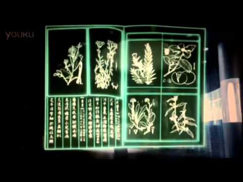 Exception Beauty Brand extension IMP 2015