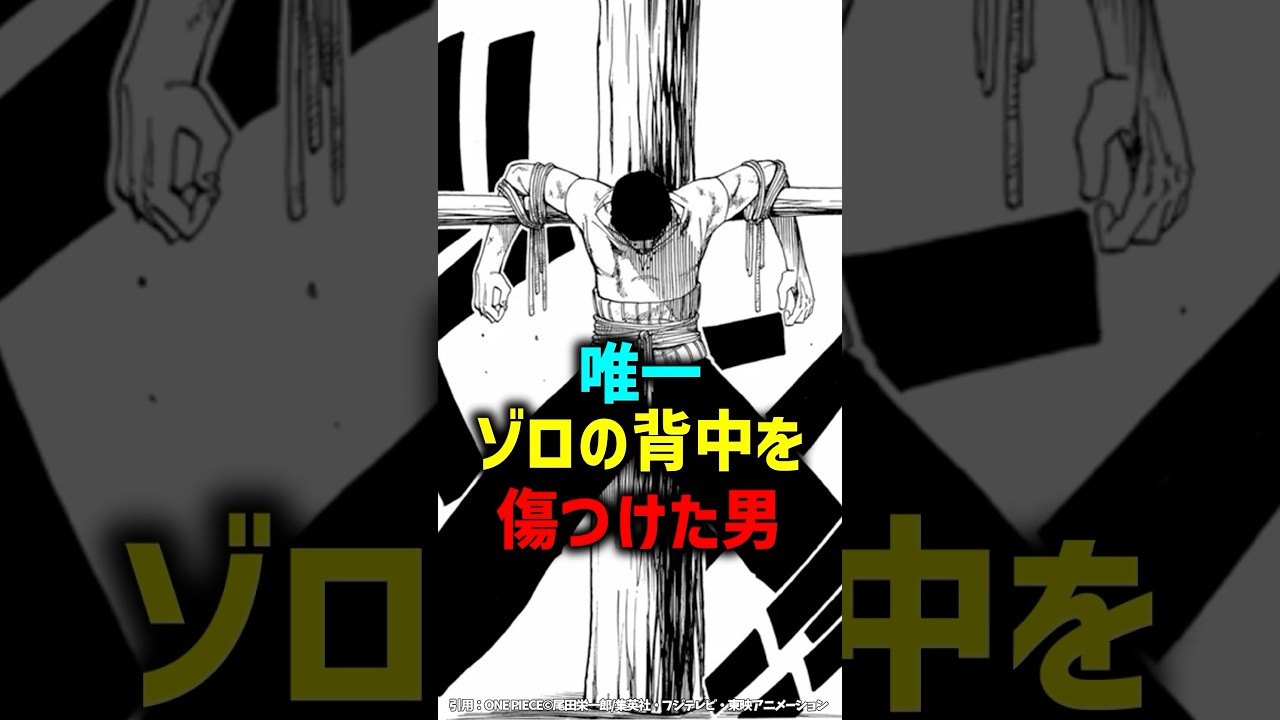 唯一ゾロの背中を傷つけた男#shorts#ワンピース