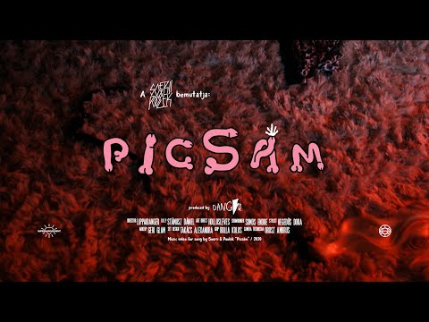 Soerii & Poolek: PICSÁM (Official Music Video)