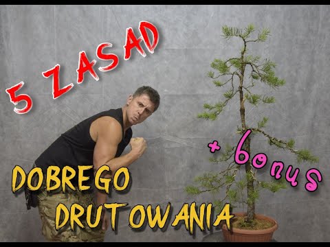 , title : 'Jak DOBRZE DRUTOWAĆ bonsai i NIE TYLKO:) Formowanie Sosny pospolitej (BONSAI) - Cz. 2/2'