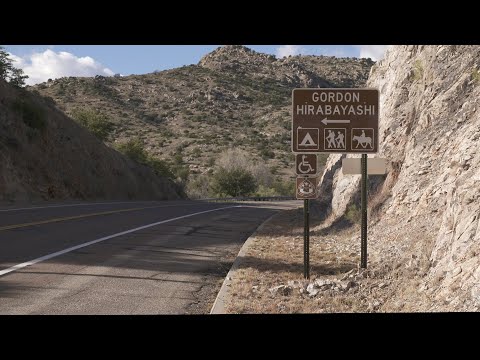 Gordon Hirabayashi