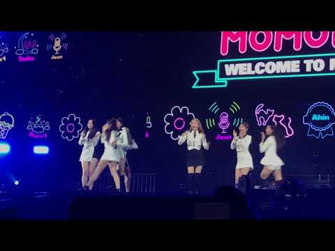 [모모랜드] Hallyu Pop Fest 2018 Momoland - Welcome to Momoland