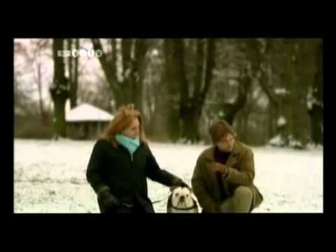 Tak for i aften - Hundetræneren 2 i HD