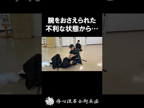 Samurai Movement! 相手を無力化する修心流の柔術と抜刀 #martialarts #iaijutsu