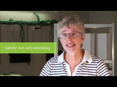 Forsøg med isolering af lofter