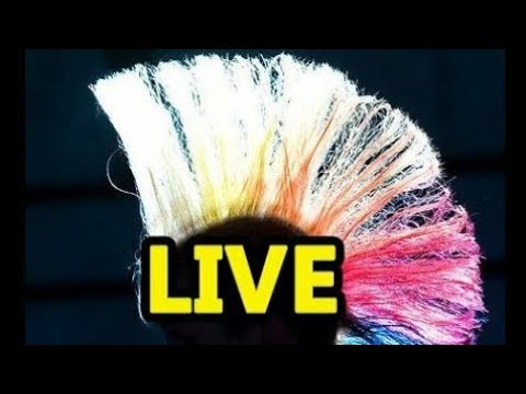 LIVE From The Fishroom