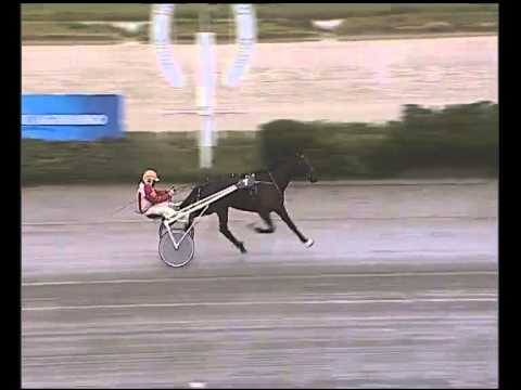 Trotto 20/01/2015 - 1° Prova di qualifica