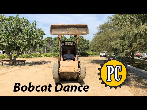 Bobcat Dance