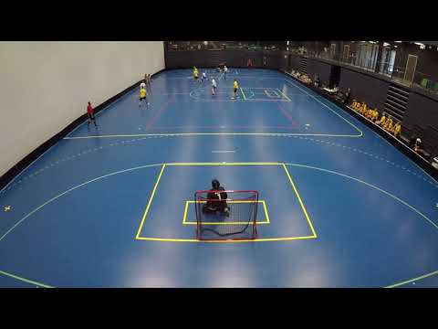 2.8.2019 PSS - Nibacos