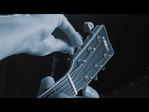 Calum Graham - Kixston