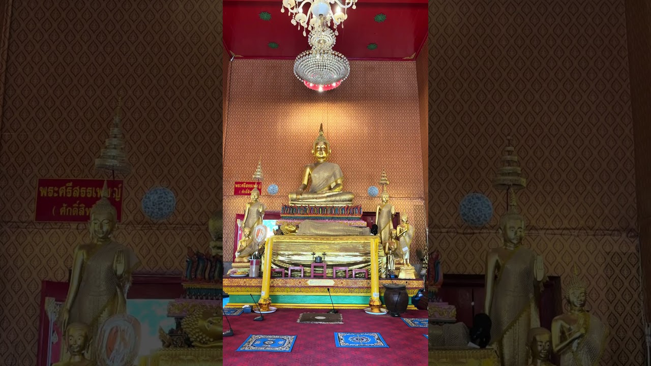 福猫現る!? タイのご祈祷中に起きた幸運のサイン✨#厄除け #木下レオン#黒猫 #幸運の証 #開運 #スピリチュアル #ラッキーサイン