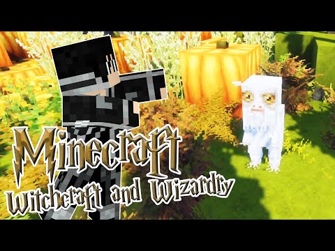 PaVen - Fang den Demiguise ⚡️ Minecraft - Witchcraft and Wizardry #13 | Deutsch Let's Play