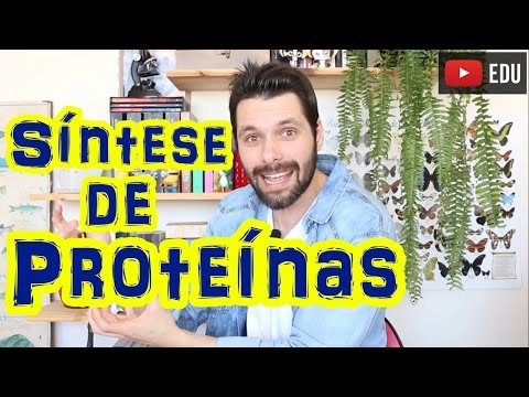 Síntese Proteica (Parte 1) - Transcrição | Prof. Samuel Cunha