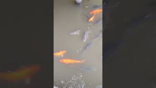 28 de setembro de 2025