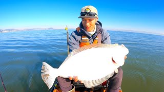 The ULTIMATE Halibut Fishing Challenge (Unwanted guest)