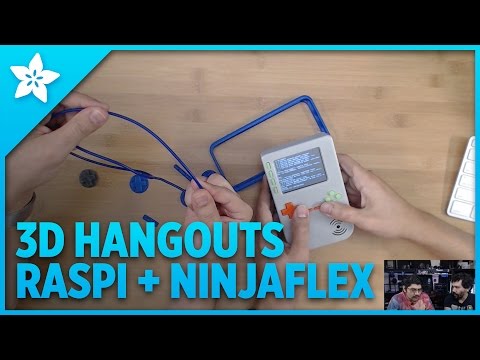3D Hangouts - Raspberry Pi + NinjaFlex
