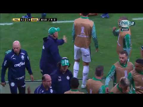 Expulsión De Agustín Manzur, Copa Libertadores 2019, Octavos De Fina, Vuelta