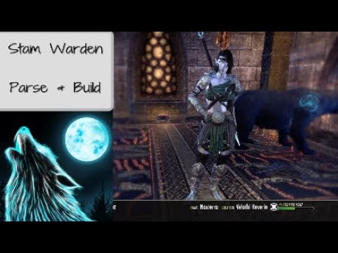 Stamina Warden 48k 2h PvE Solo Parse and Build