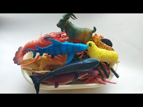 Zoo animal figure Unboxing and  Review-snake dinosaurus lion giraffe#asmr#shorts#unboxing#seaanimals