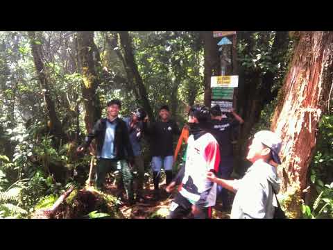 AWAK ACUAH JE NYEH (oh no)