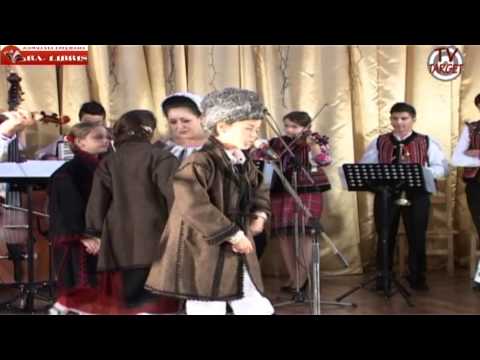 Stefan Alexandru Negru