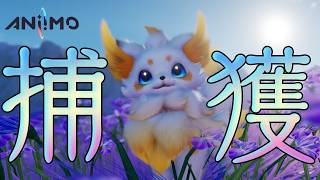 【アニモ】イルリーの花びら集め・たまご・協力ホロバトルで参加型したい(｀･ω･´)【あおねこらいぶ】
