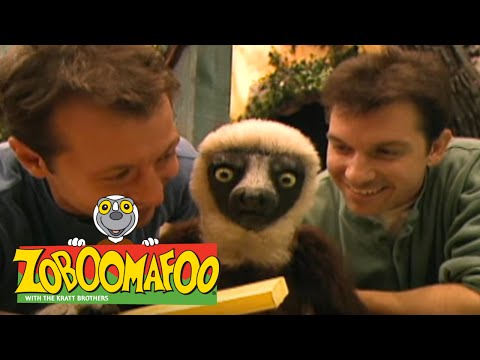 Zoboomafoo 126 - Playtime (Full Episode)