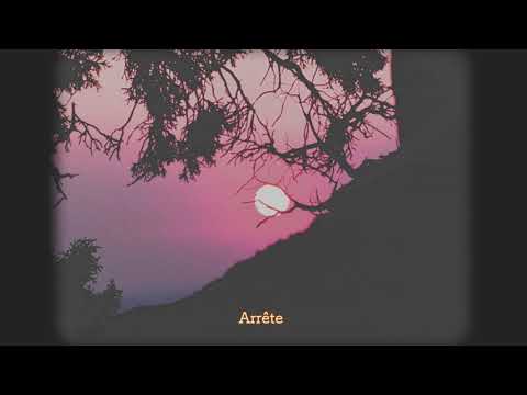 Nedelko - La baie des chiens ( prod : Oster Lapwass )