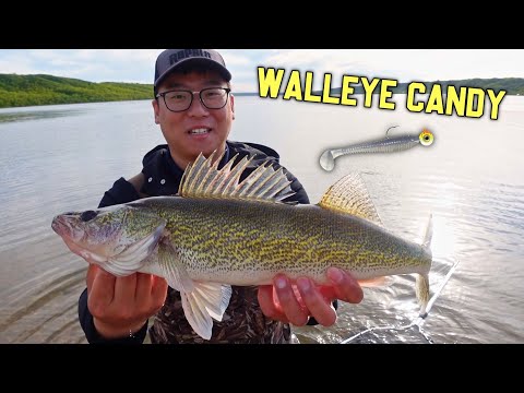 Pasqua Lake Afternoon Wader Session (SwimBait Walleye &amp; Pike)