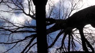 Roll Right Stones-Traffic