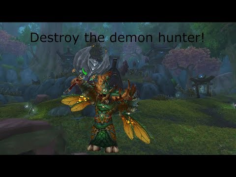 Destroy the demon hunter! - Feral druid pvp 8.2