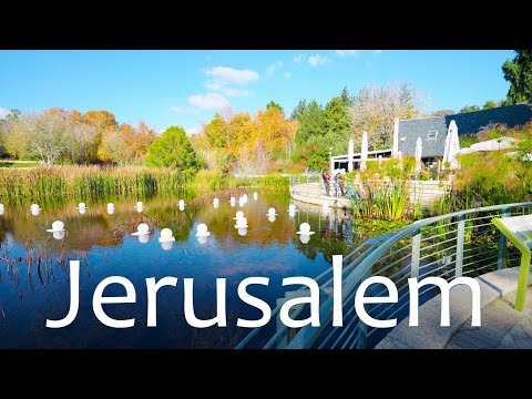 Jerusalem in Winter — Incredible Beauty. From Damascus Gate to the Botanical Garden.