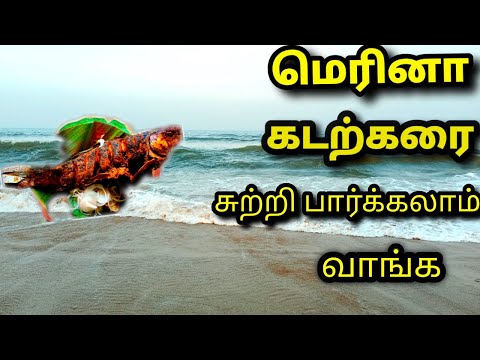 Marina Beach  Chennai 🏖️🌊⛵ || Tamilnadu 2022