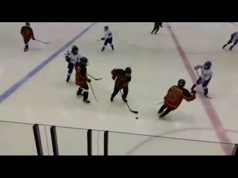 Karhu-Kissat KOOVEE Livestriimi