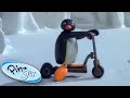 Pingu And The New Scooter Pingu Official 1 Hour Cartoons For Kids