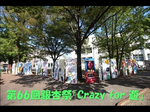 第66回銀杏祭「Crazy for 遊」