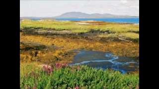 Haste to the wedding