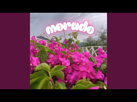 Bailando en el Fuego