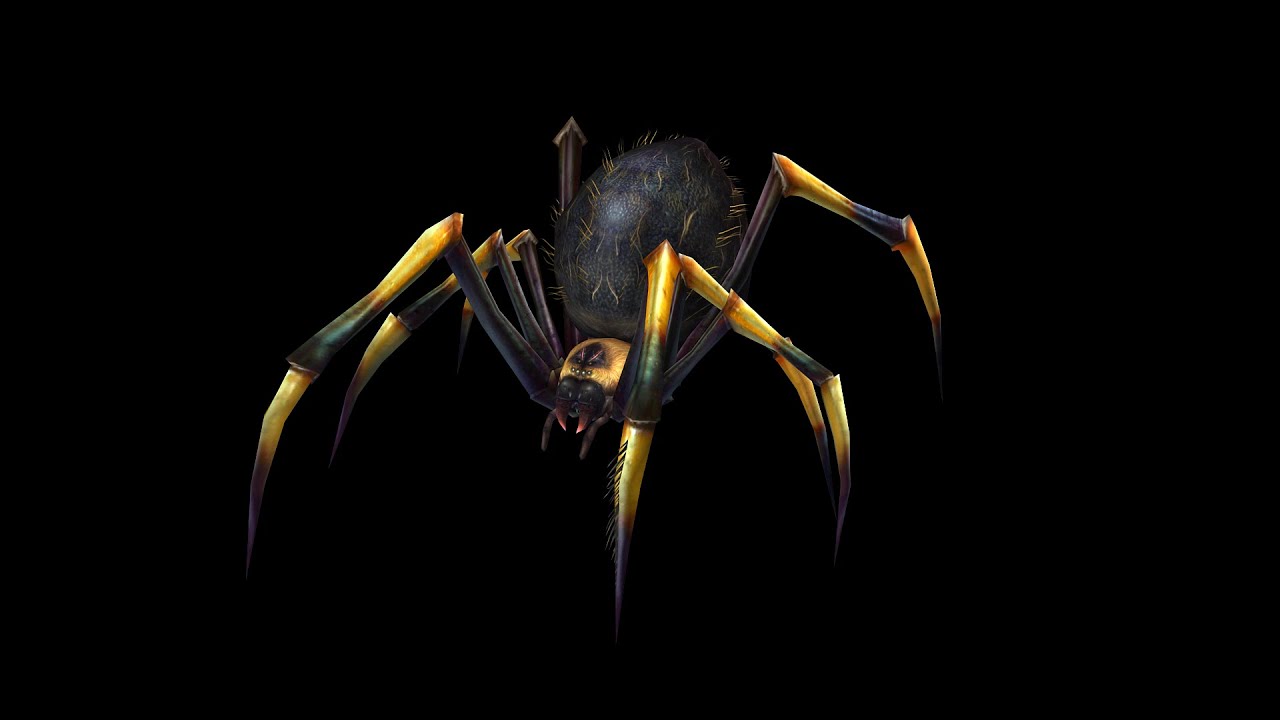Анімований павук 3D Модель