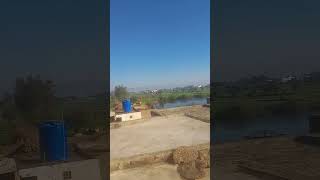 Download lagu Surah saff #translationquranandislam #yotubeshorts #explore #viralshorts #qurantranslation #quotes mp3