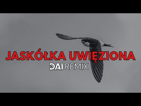 ❤️ Stan Borys - Jaskółka Uwięziona | DAI Remix 2025 ❤️