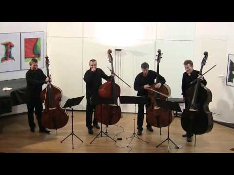 The Flying Basses - Daryl Runswick