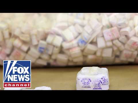 We're working to SAVE American lives: 'Drug czar' Sara Carter