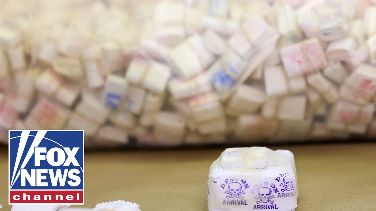 We're working to SAVE American lives: 'Drug czar' Sara Carter