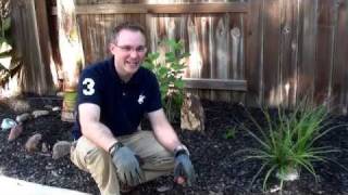 Southern Gospel Gardener 10 - Triumphant Quartet - Everyday