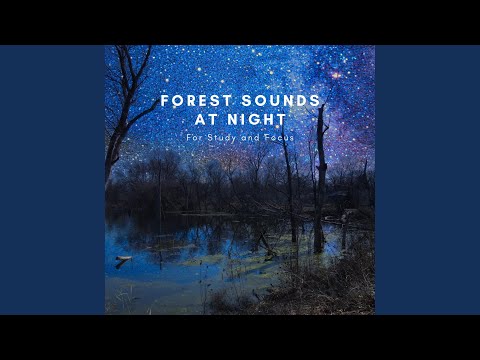 Relaxing Lake Sounds at Night