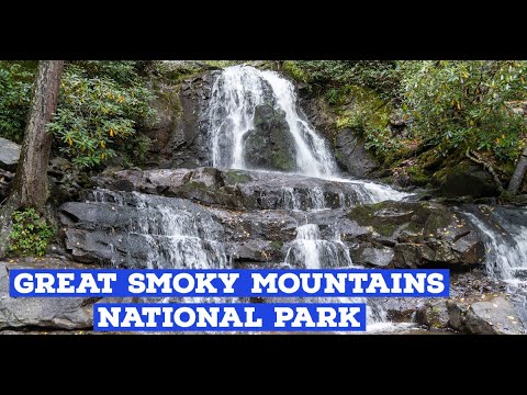 Top 10 Sights at Great Smoky Mountains National Park | Plus tips for visiting | Know before you go!