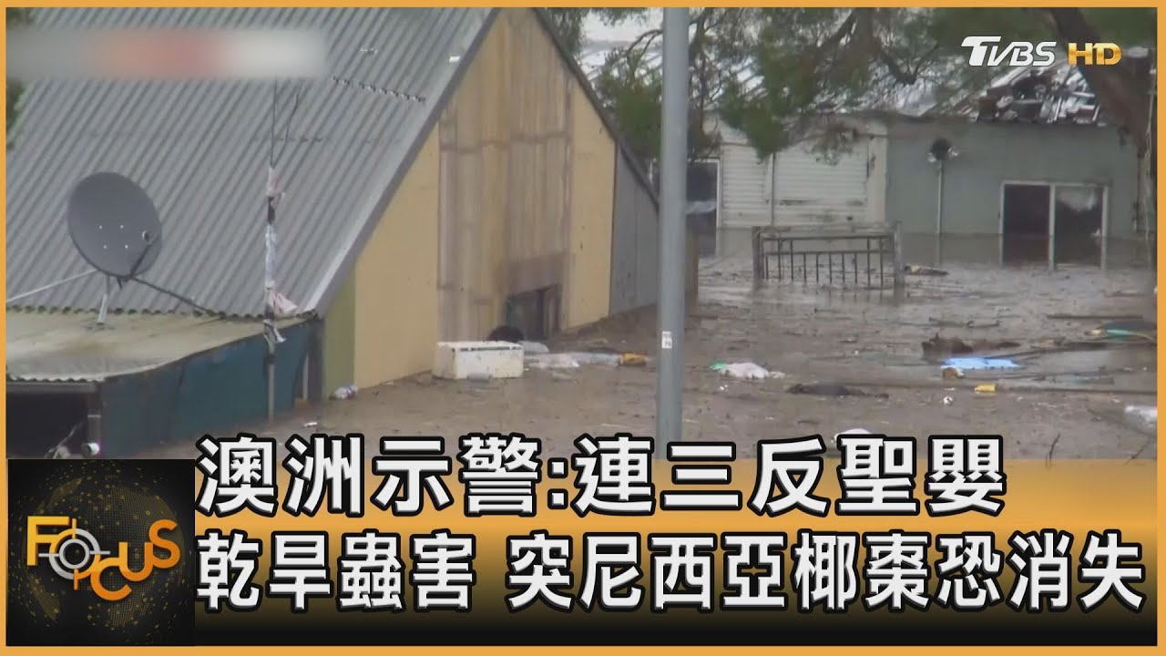 澳洲示警:連三反聖嬰.乾旱蟲害 突尼西亞椰棗恐消失
