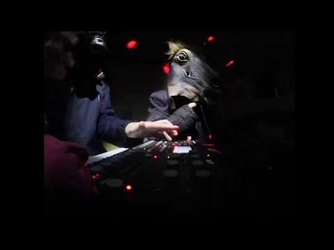 Elektrus Erektus Horse and Tiger #nuuknordicpitch